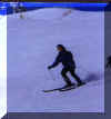 meskiing.jpg (10304 bytes)